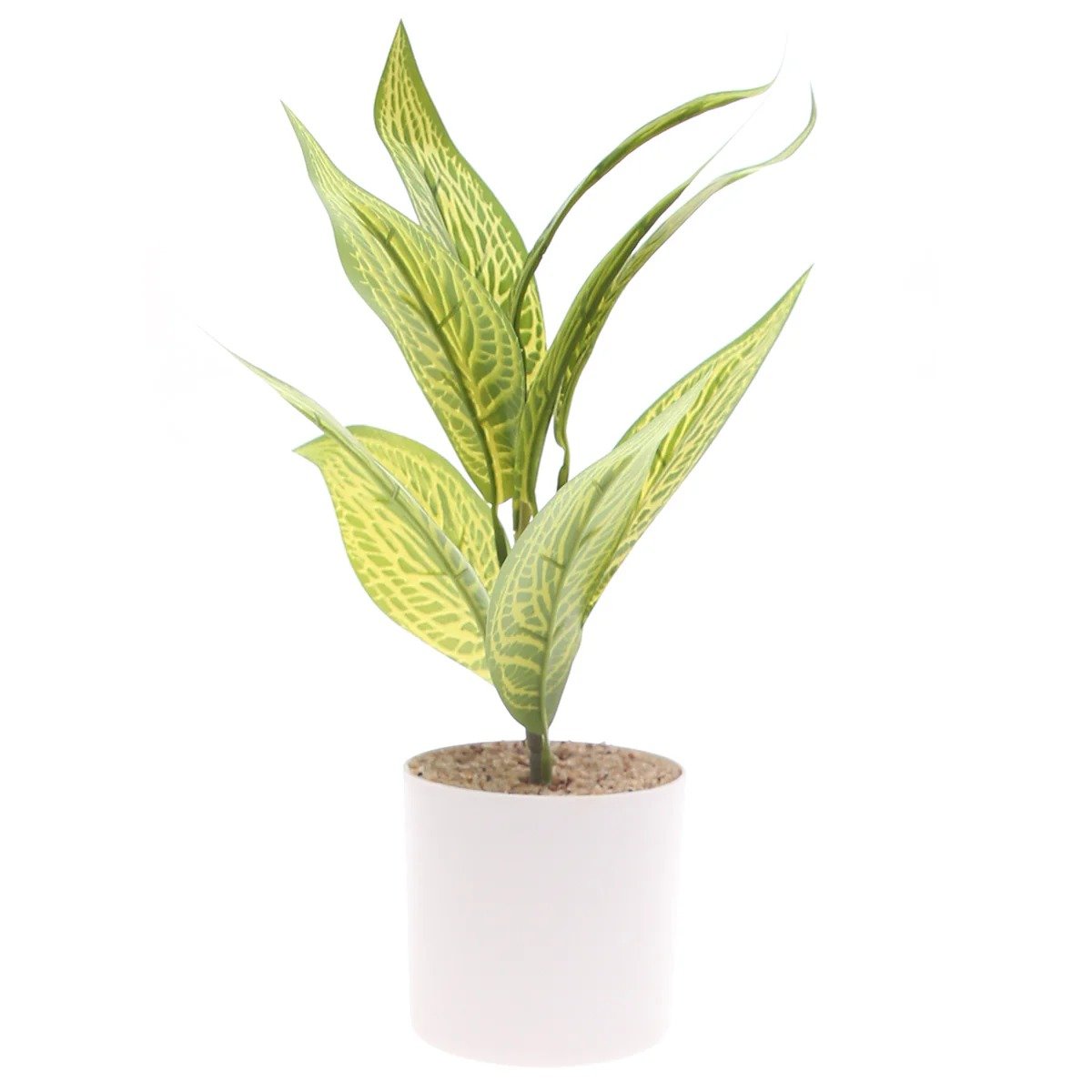 Table Plant D # 4 Green – White Pot