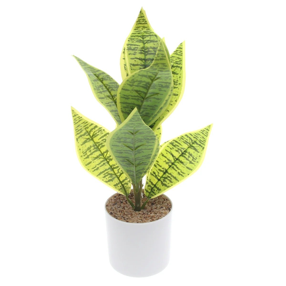 Table Plant D # 3 Green – White Pot