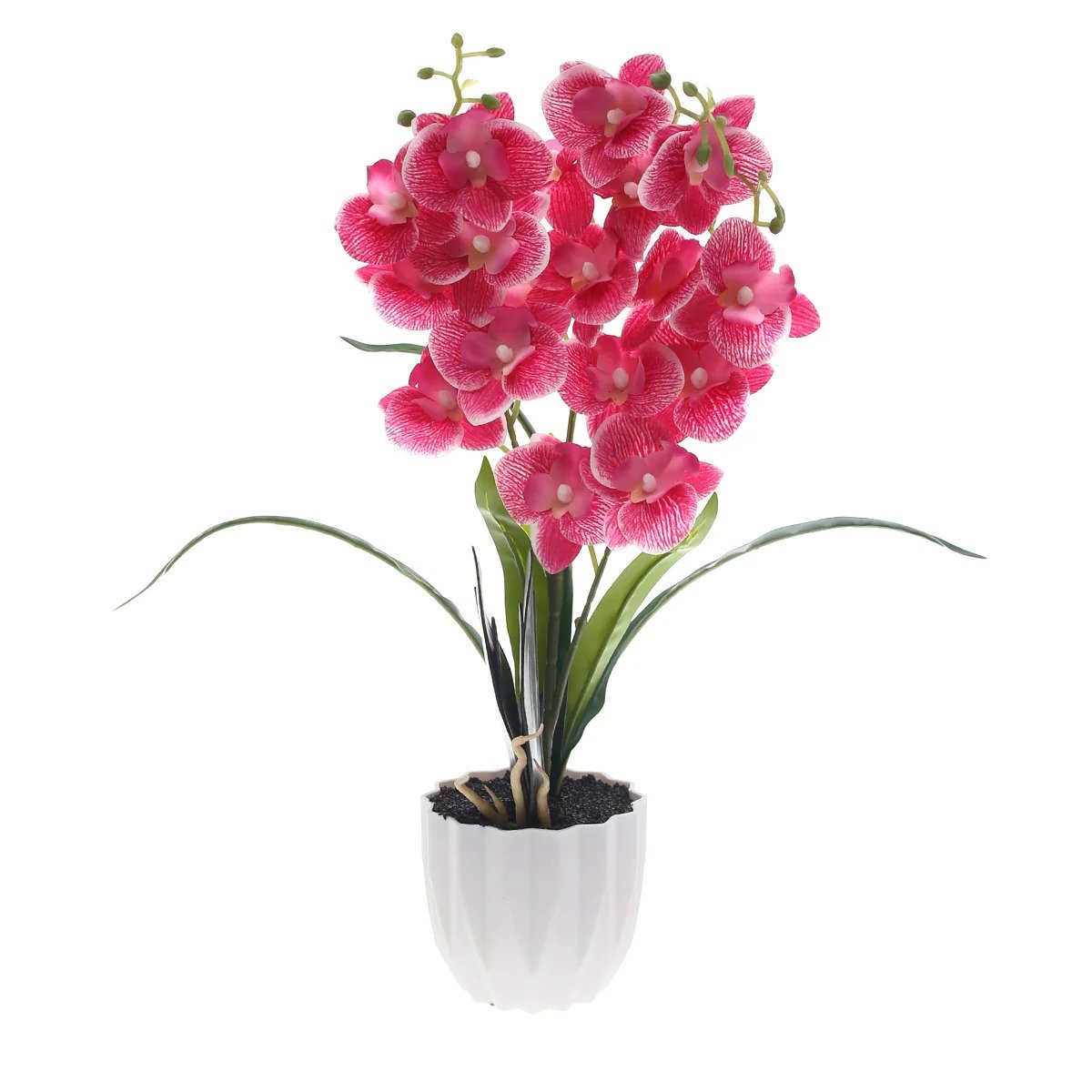 Table Plant – Orchid Bloom – Pink