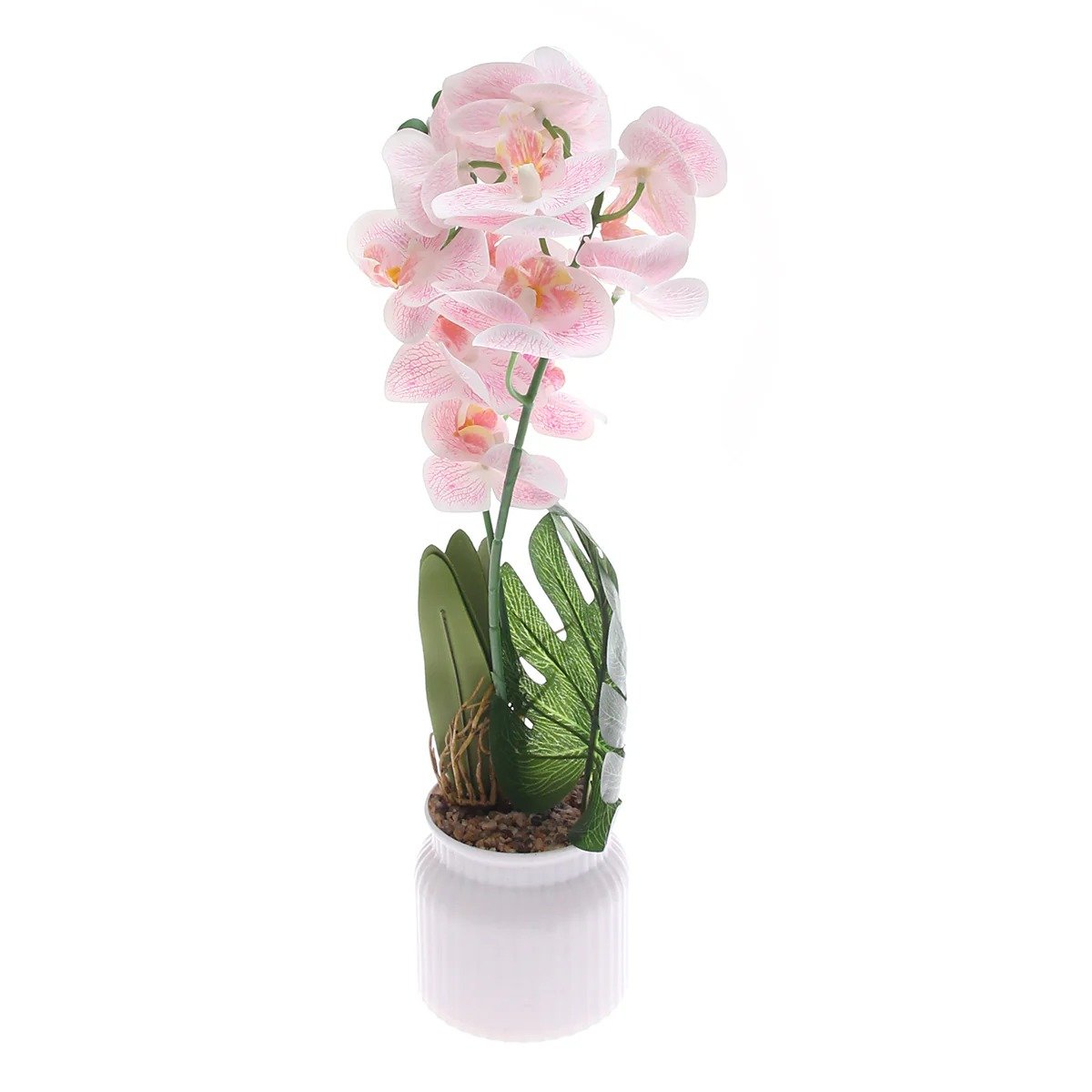 Table Plant – Orchid Cascade – White & Pink