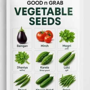 Vegetable Growing Seeds Pack -12