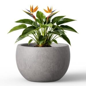 Misty Gray Large Round Concrete Plant Pot/Planter Bowl for Indoor & Outdoor with Drainage Hole