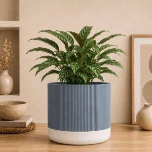 Strata Grande | Beautiful Planter | 3D Printed Fluted Two Tone Plant Pot