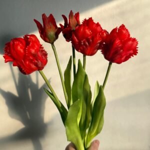 Vibrant red parrot Tulip bouquet