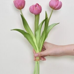 A lifelike tulip trio
